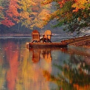 Meet your Posher, Christa gavin